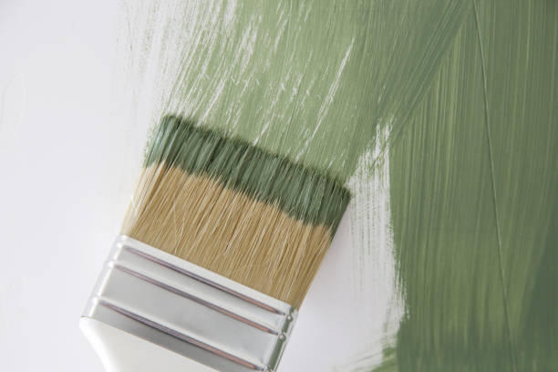 Mold Odor Removal Services in Brilliant, AL