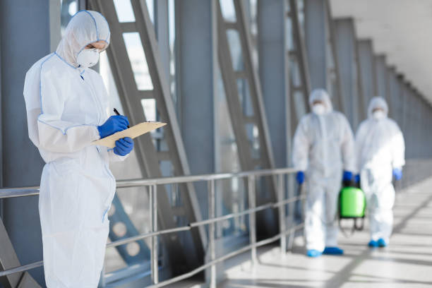 Best Environmental Consulting for Mold Prevention  in Brilliant, AL
