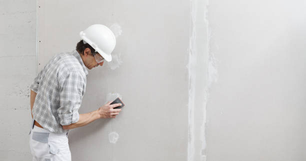 Best Real Estate Mold Inspection  in Brilliant, AL