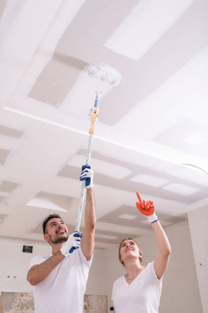 Best Mold Remediation for Rental Properties  in Brilliant, AL