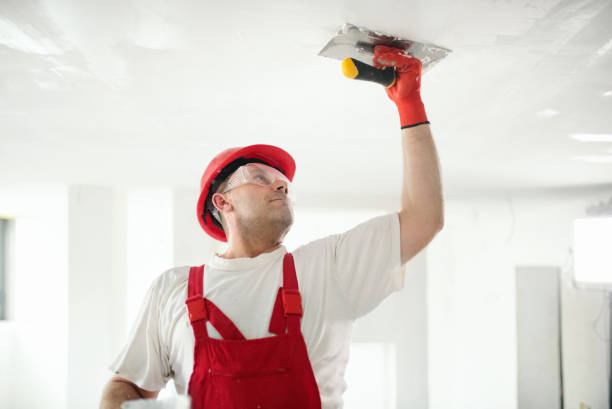 Best Dehumidification Services  in Brilliant, AL