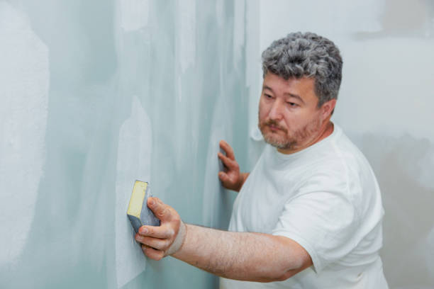 Best Black Mold Removal  in Brilliant, AL