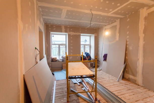 Best Water Damage & Mold Remediation  in Brilliant, AL