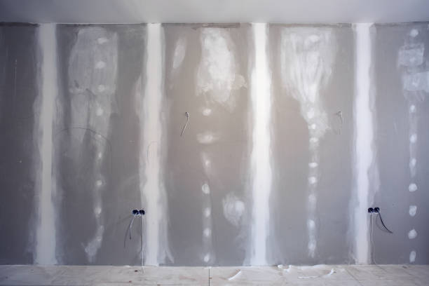 Best Basement Mold Removal  in Brilliant, AL
